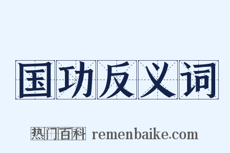 国功反义词是什么意思的图片